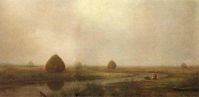 Martin Johnson Heade Jersey Marshes oil painting picture
